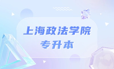 上海政法學院專升本專業